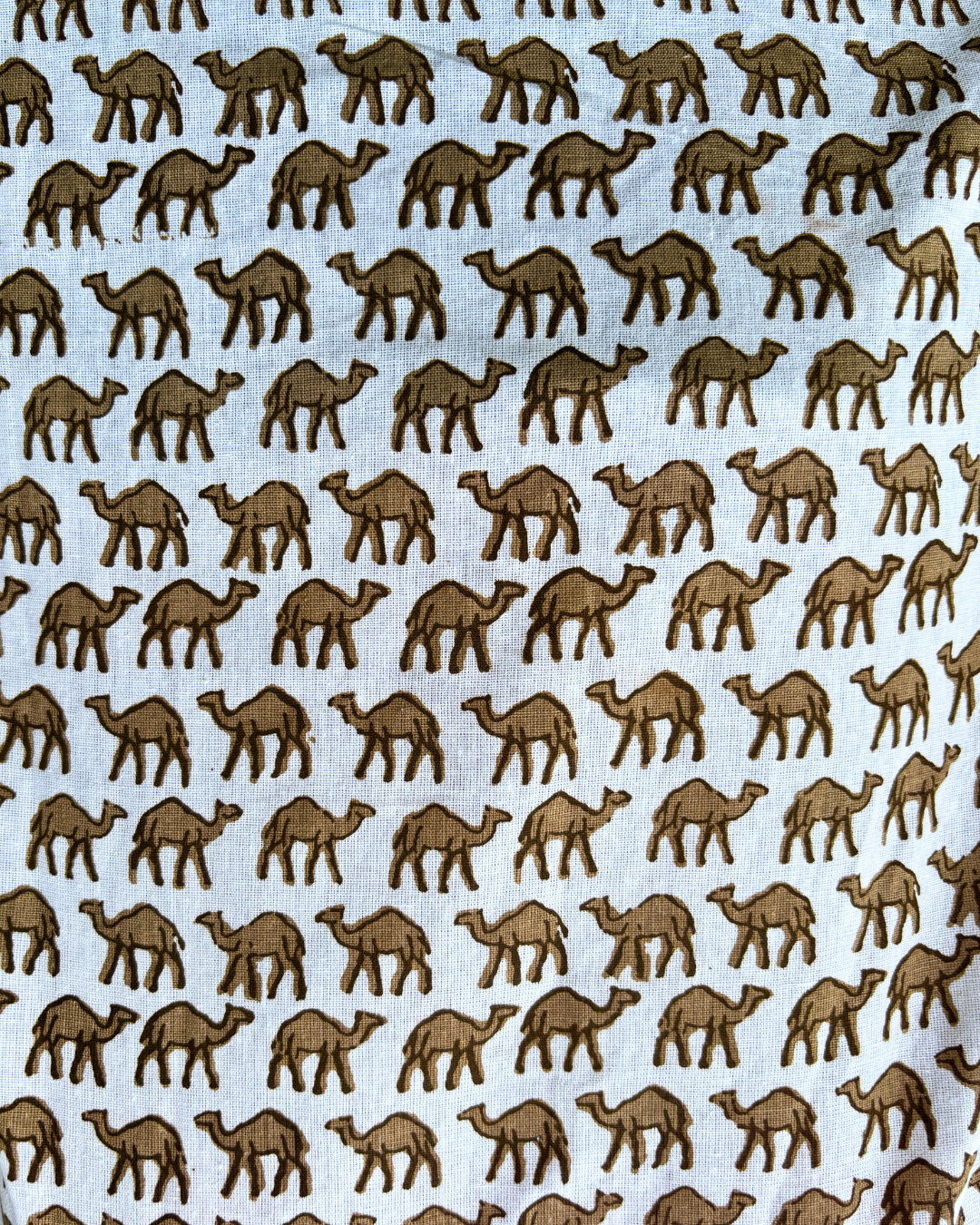 Camel - Printed Short Kurti 7 Camel - Printed Short Kurti - Image 4